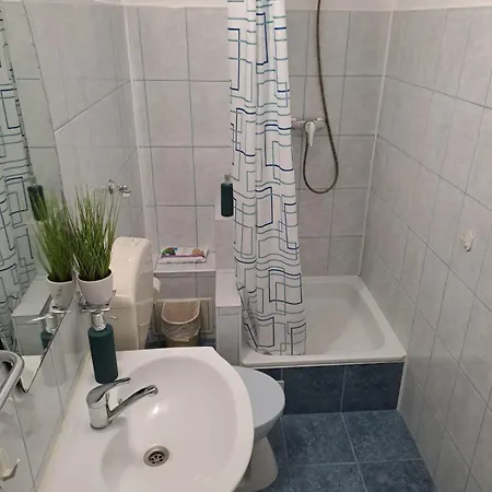 Apartment Alegerea Perfecta *