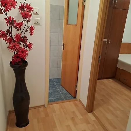 Alegerea Perfecta Apartment Bucharest